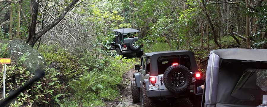 Offroad Jeeping in Hawaii